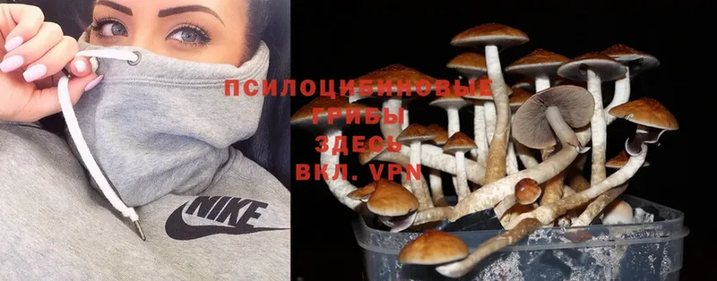 Галлюциногенные грибы MAGIC MUSHROOMS  цена   МЕГА ТОР  Заполярный 